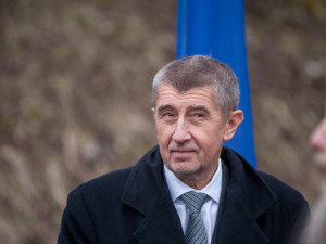 Babiš žádost o vydání čekal, postup má za snahu se ho zbavit