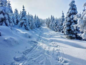 Na horách v Čechách bude sněžit až do čtvrtečního rána