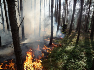 V Praze se nesmějí od neděle kvůli suchu rozdělávat ohně