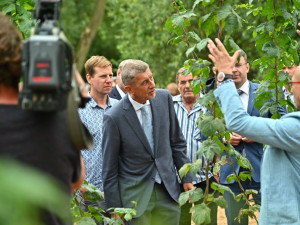 Ministerstvo kultury bude 14 dní bez ministra, uvedl Babiš