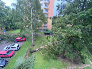 Část Česka zasáhly silné bouře, na Písecku usmrtil strom dva lidi