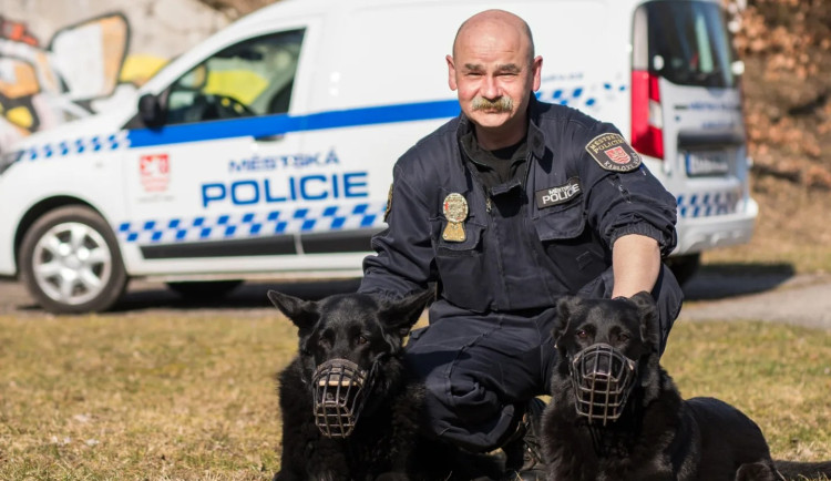 Karlovarští strážníci mají další tlapky navíc. Městská policie má nově čtyři služební psy