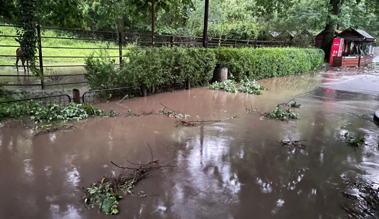 Centrum Ostravy po bouři. Nevydržely ani statné stromy, zoo je uzavřena