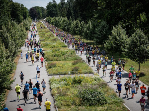 Opět bude vyprodáno. Olomouc se těší na letní běžecký svátek, do města míří ČEZ RunTour