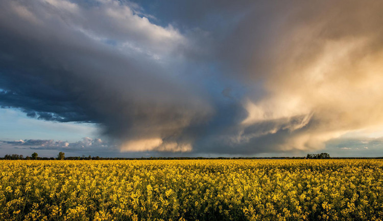 Meteorologové varují před silnými bouřkami a přívalovými dešti. Kraj mohou zasáhnout odpoledne a večer