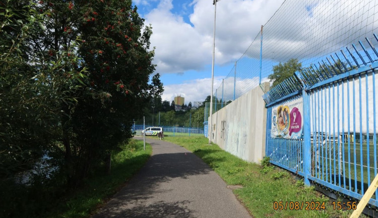 Pes na cyklostezce u Slovanu vběhl do cesty cyklistovi. Hledají se majitelé i svědci