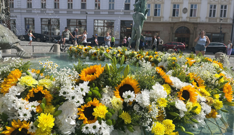 Arionovu kašnu v centru Olomouce rozzářily tisíce květin. Aranžmá je letos inspirované barokem