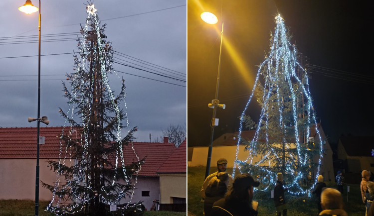 Klasiku převálcoval outsider. Anketa o nejkrásnější vánoční strom obvodu má překvapivého vítěze