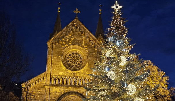 ANKETA: Smrk porazil srdíčkovou lípu. Nejkrásnější vánoční strom má podle čtenářů Praha 8