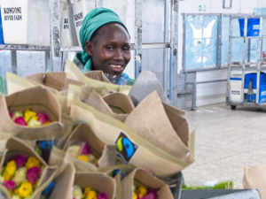 Nová studie potvrzuje, že zapojení do Fairtrade přináší pro pracovníky na květinových farmách hmatatelné výhody