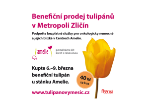 V Metropoli Zličín rozkvetla naděje. Pomozte díky tulipánu onkologicky nemocným dětem